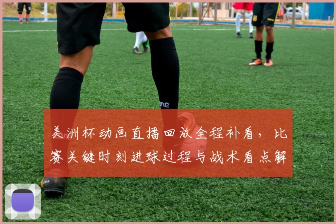 美洲杯动画直播回放全程补看,比赛关键时刻进球过程与战术看点解析