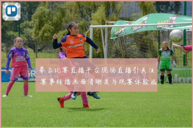 拳击比赛直播平台现场直播引关注 赛事转播画面清晰度与观赛体验成焦点