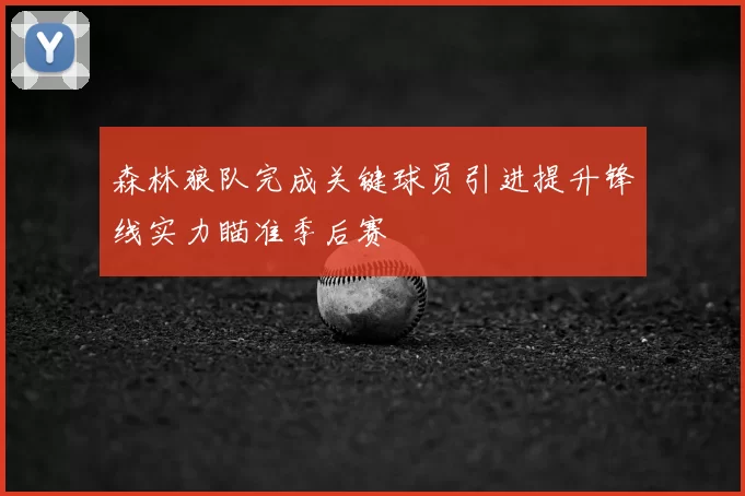 森林狼队完成关键球员引进提升锋线实力瞄准季后赛