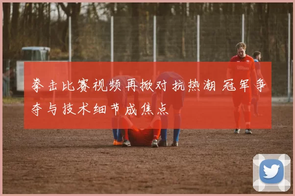 拳击比赛视频再掀对抗热潮 冠军争夺与技术细节成焦点