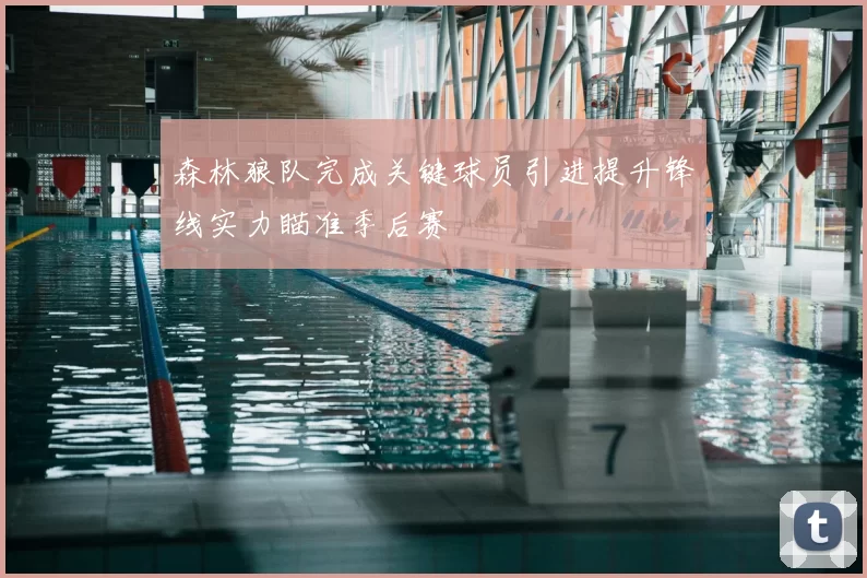 森林狼队完成关键球员引进提升锋线实力瞄准季后赛
